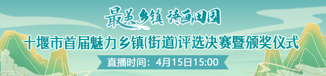 魅力乡镇横条海报