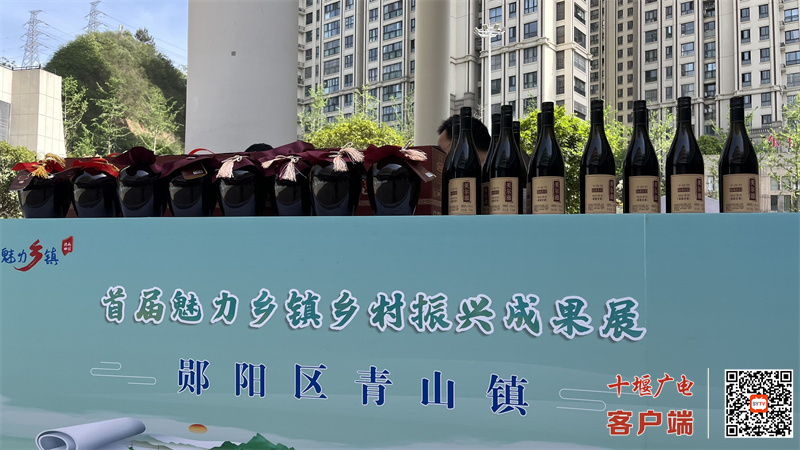 魅力乡镇成果展2