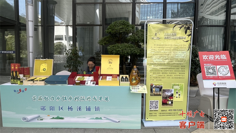魅力乡镇成果展杨溪铺镇