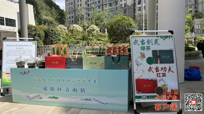 魅力乡镇成果展青山镇