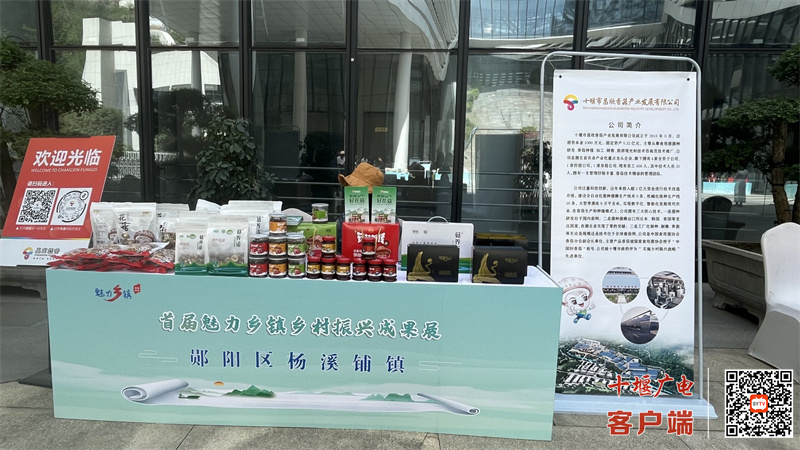 魅力乡镇成果展杨溪铺镇2