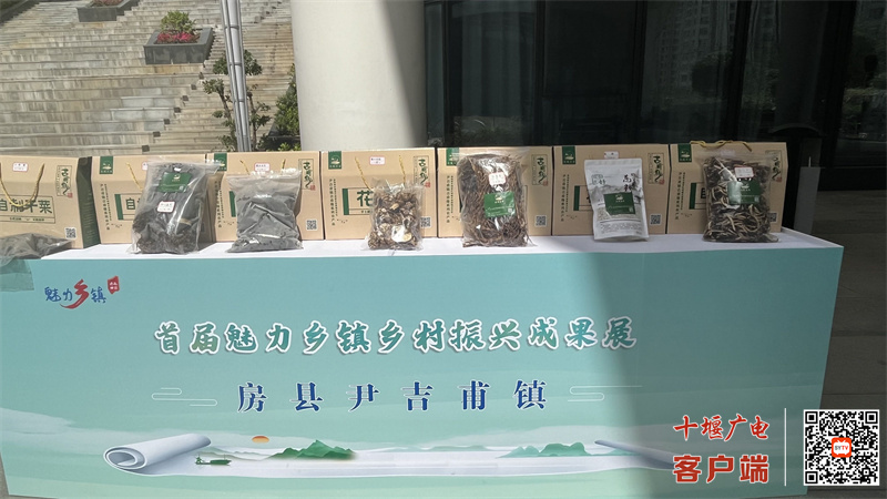 魅力乡镇成果展尹吉甫镇2