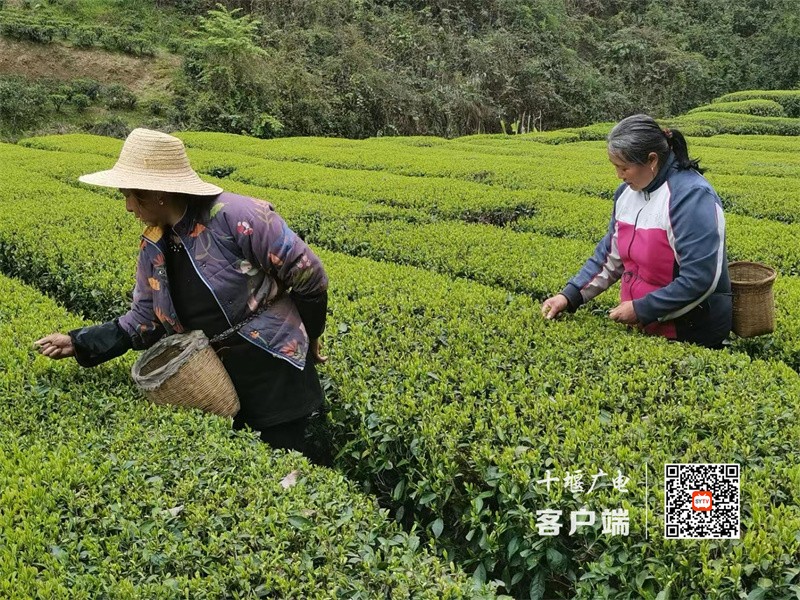 微信图片_20230415100738