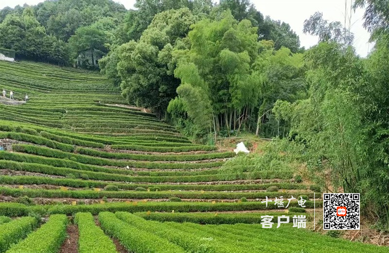 QQ截图20230415101331