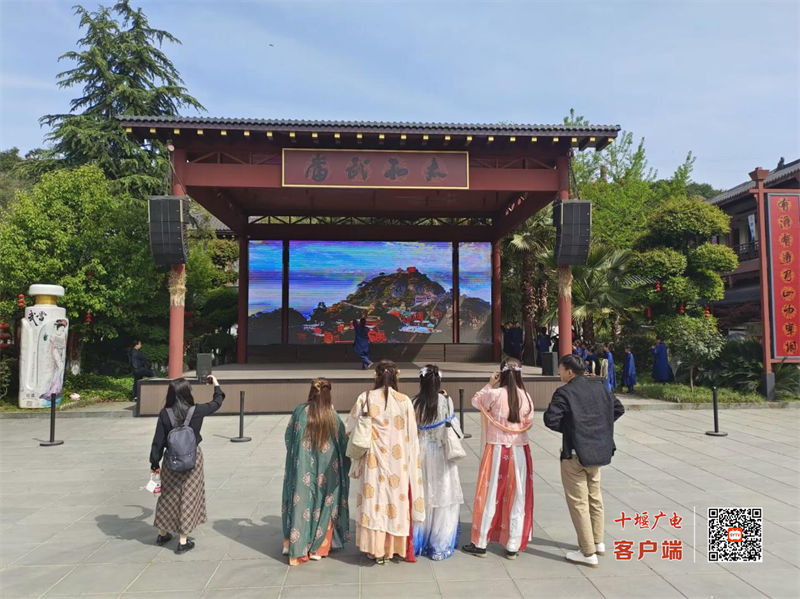 图片3
