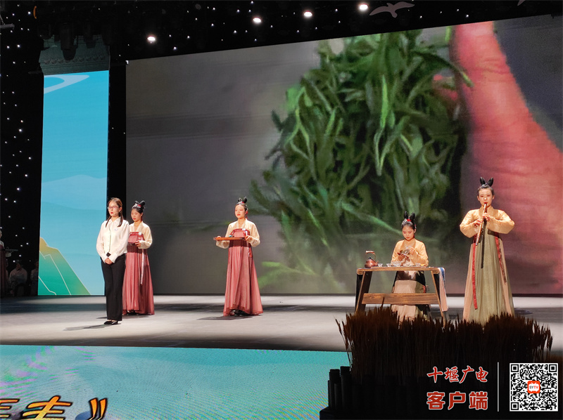 宝丰镇节目