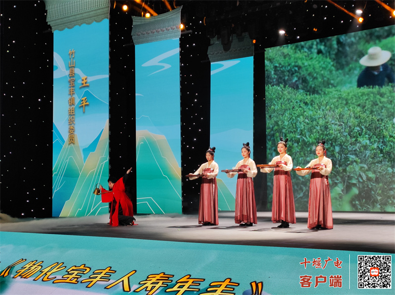 宝丰镇节目4