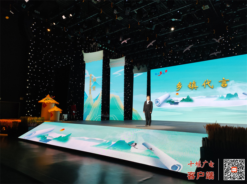 郧西县城关镇代言