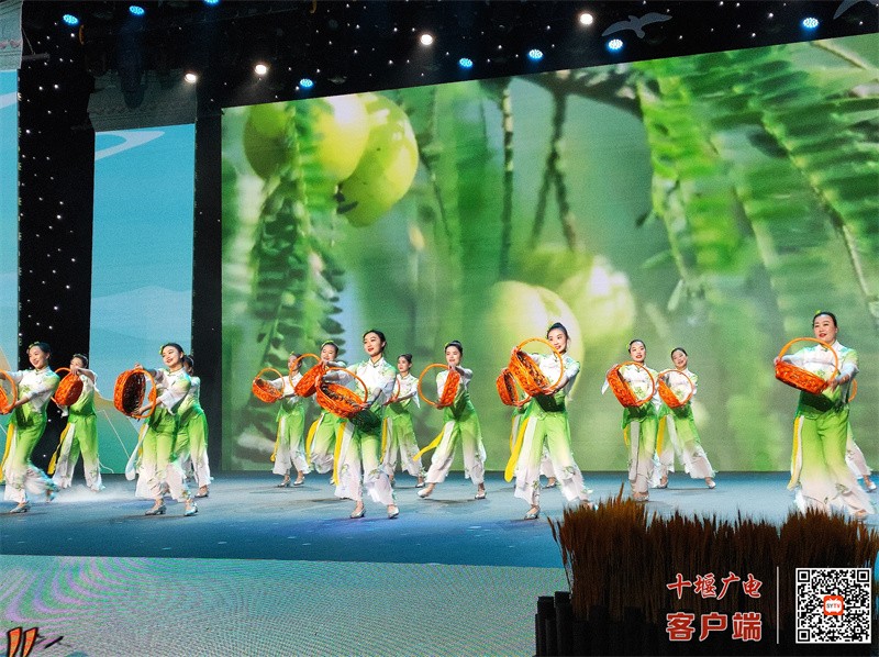 杨溪铺节目