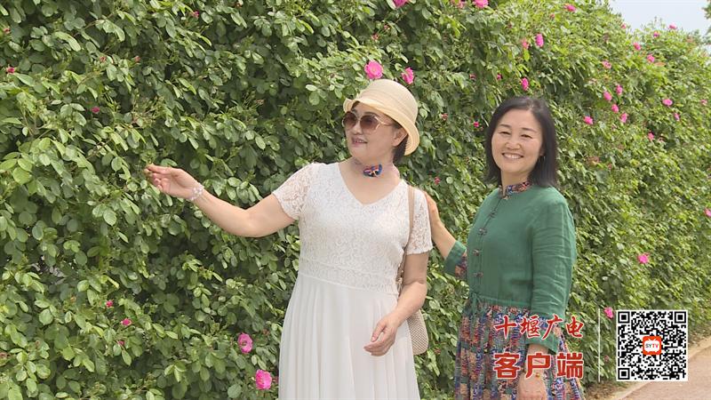 微信图片_20230418154756