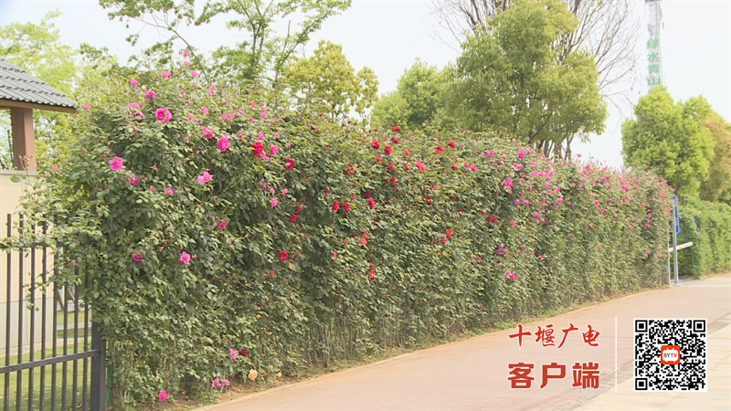微信图片_20230418154806