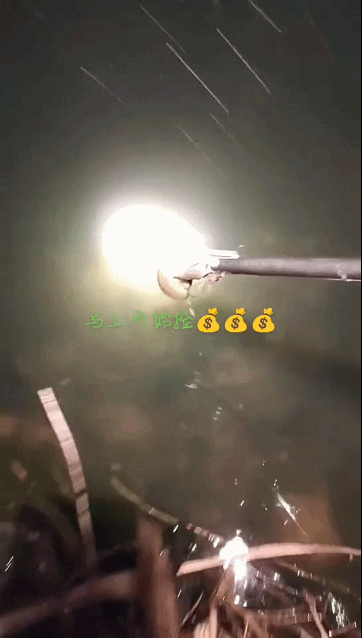 640