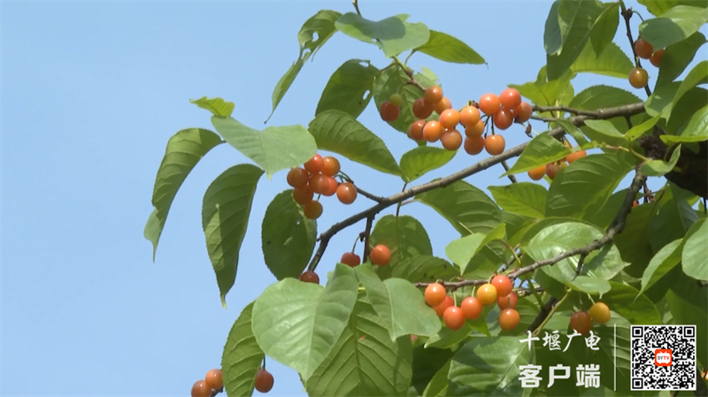 2_副本