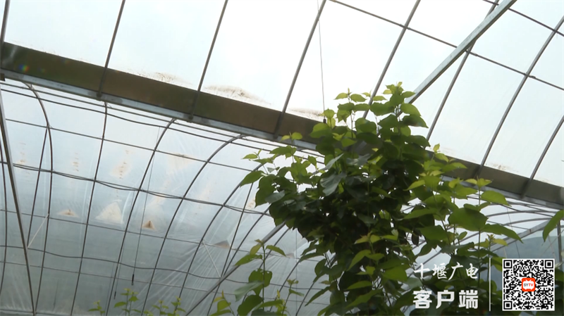 7_副本