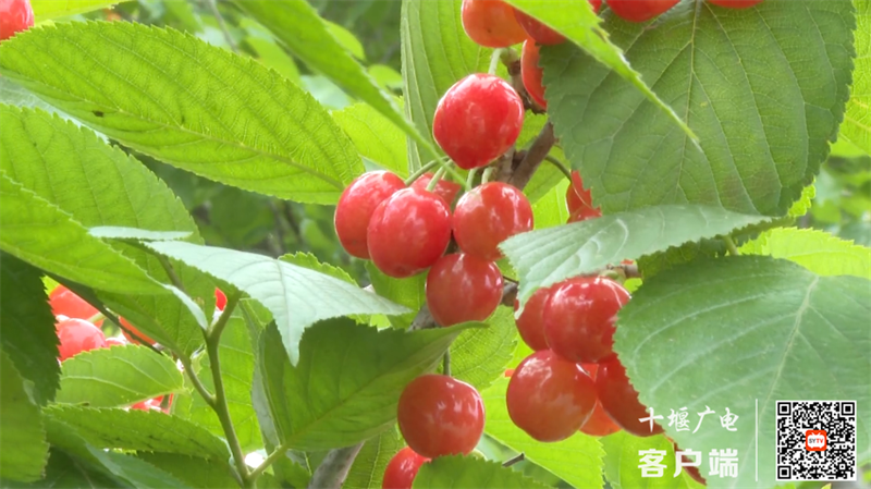 8_副本