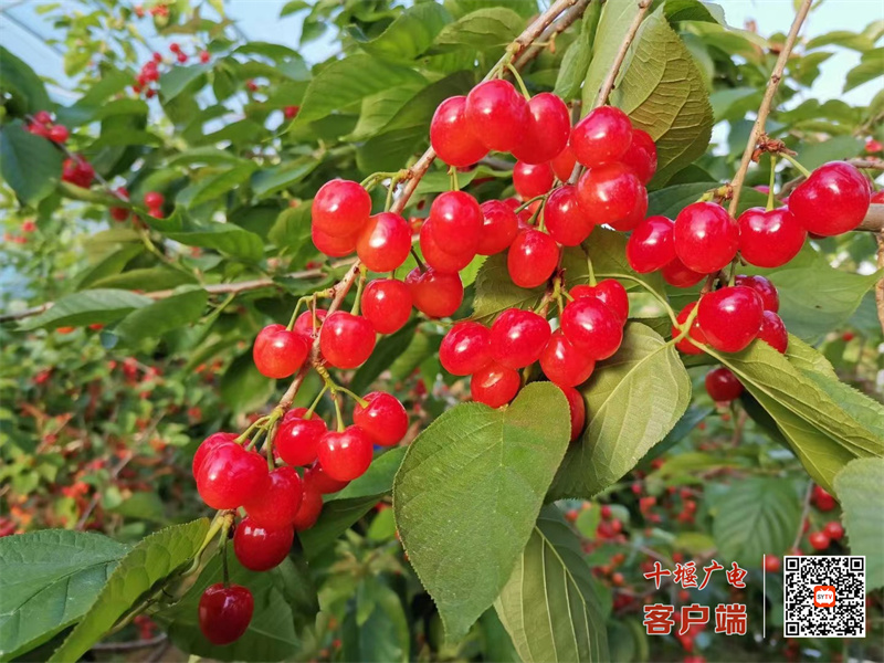 微信图片_20230420112239