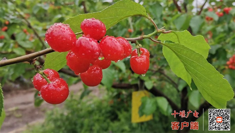 微信图片_20230420112336