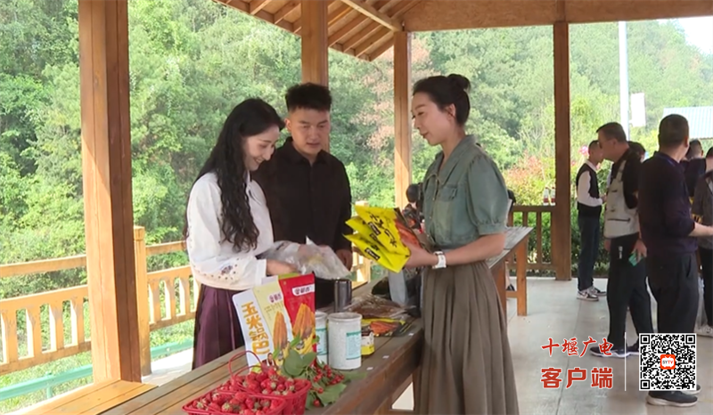 QQ图片20230420155332