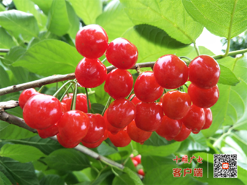微信图片_20230421102649