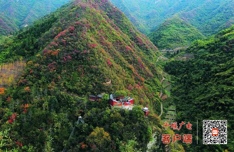 观音沟