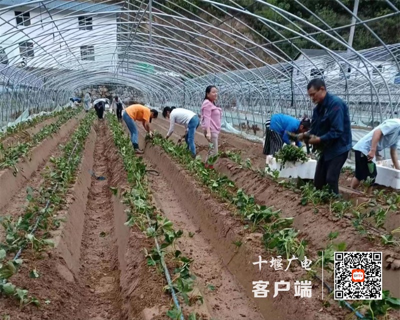 微信图片_20230421171533