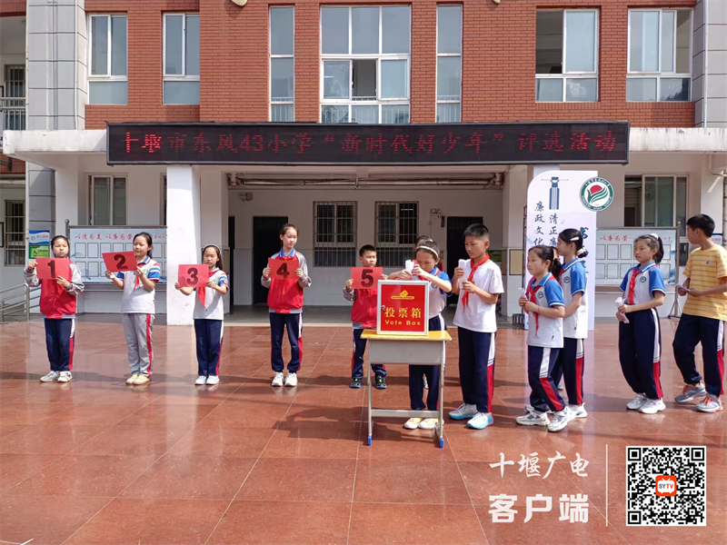 图片3