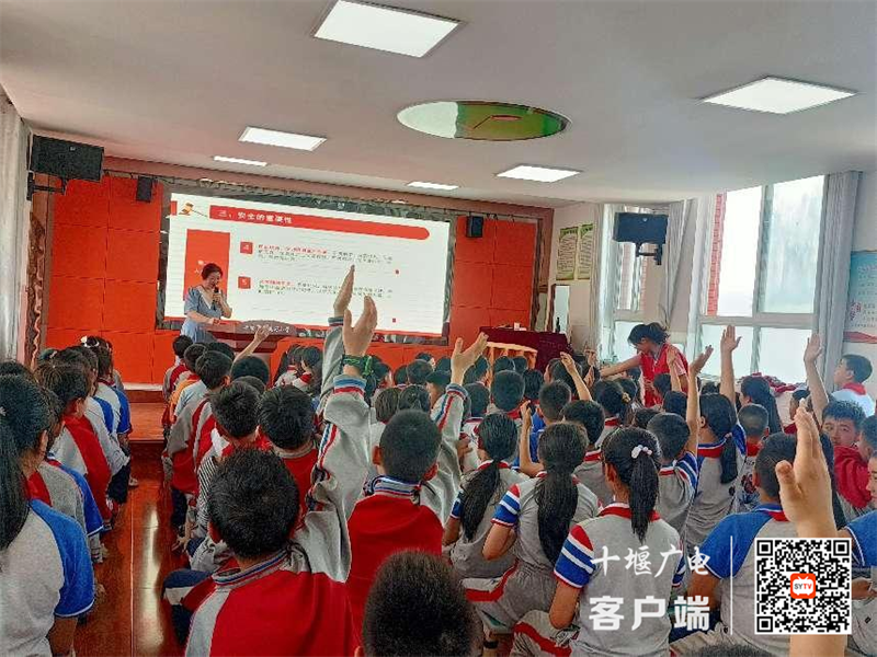 图片3