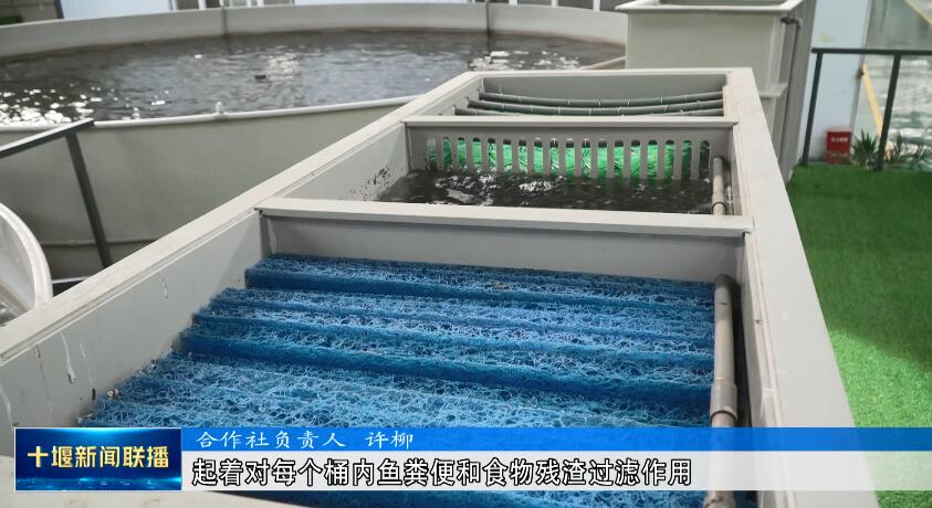 QQ截图20230422201724