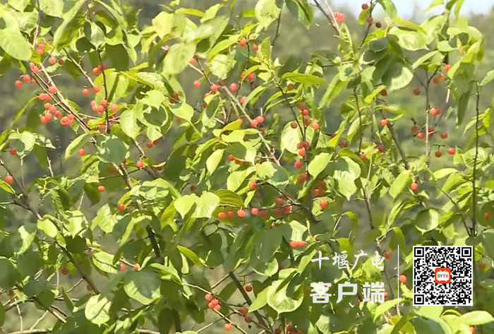 01_副本
