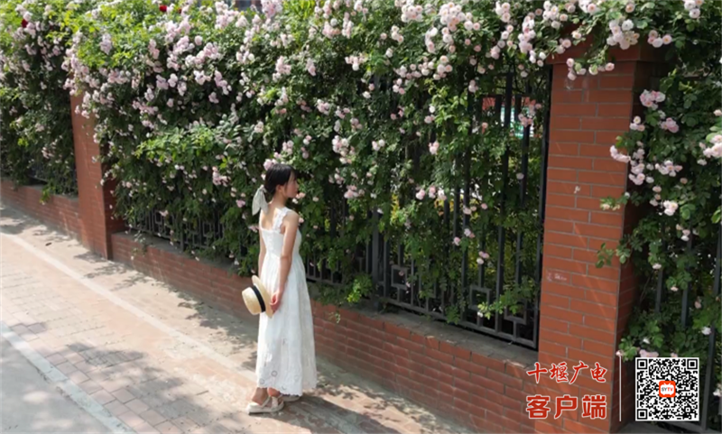 QQ图片20230426160643
