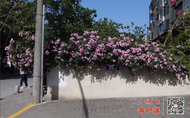 QQ图片20230426160815