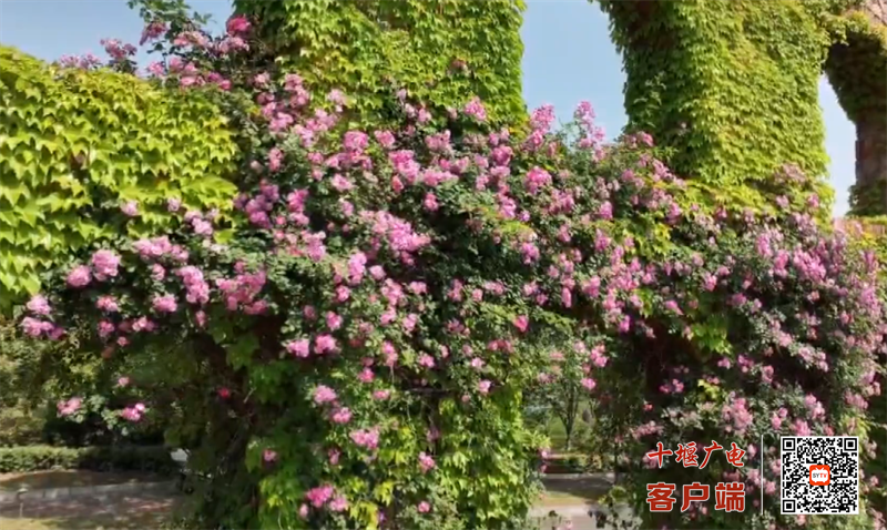 QQ图片20230426160856