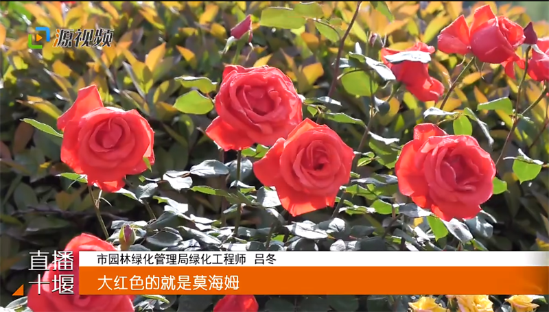 QQ图片20230426192944