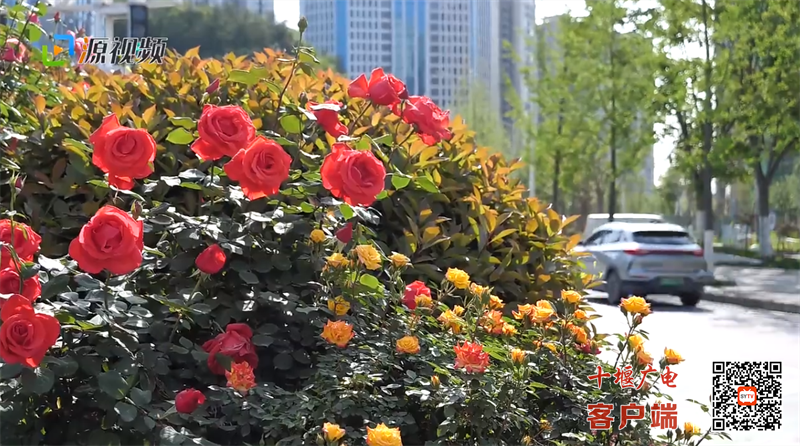 QQ图片20230426193601