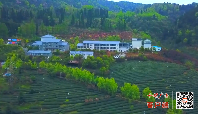 QQ图片20230427164100