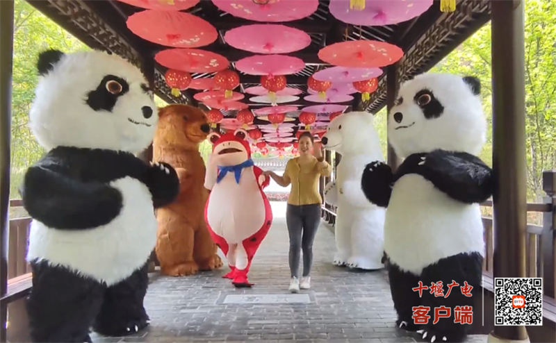 QQ图片20230427165148