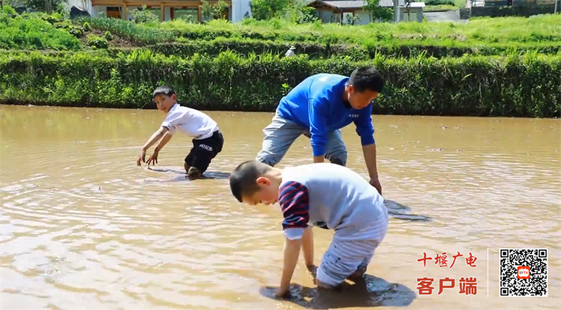 QQ图片20230427165228