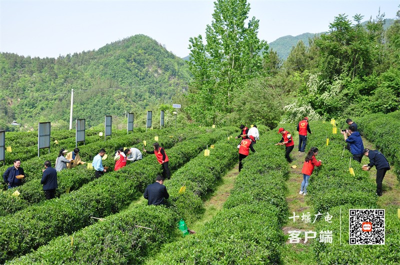 微信图片_20230427165323