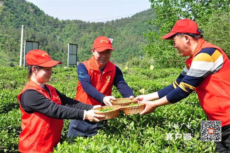 微信图片_20230427165311