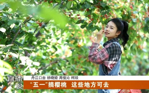 QQ截图20230428193721