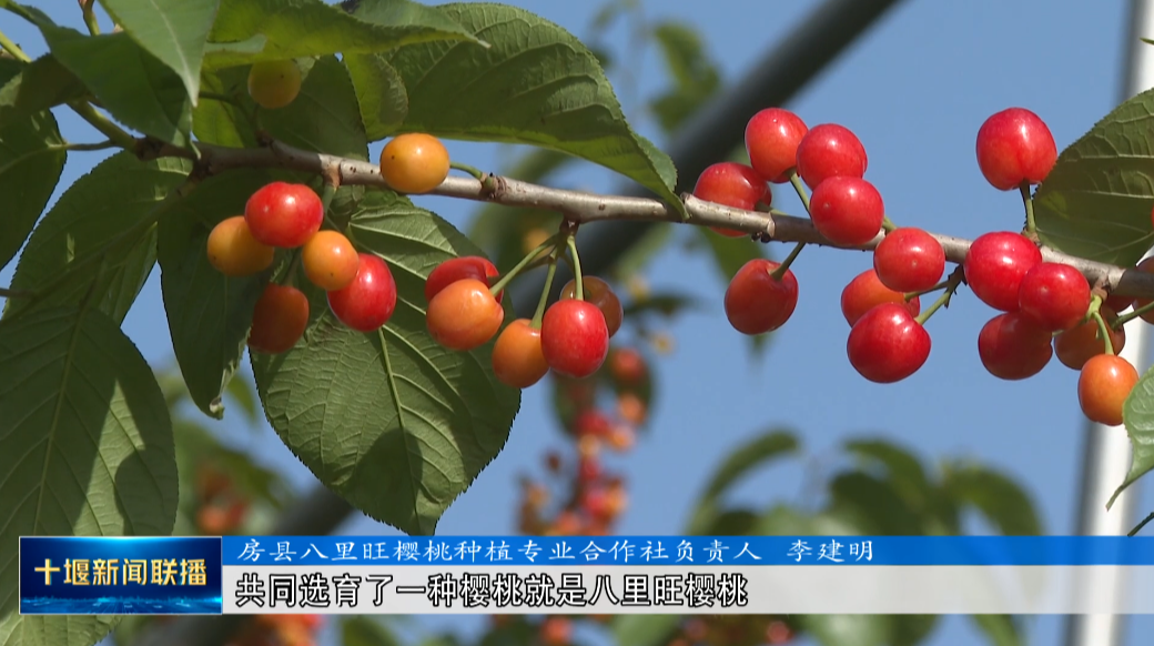 QQ图片20230428203010