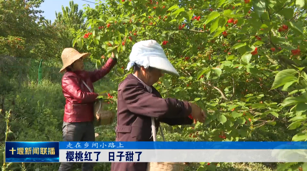 QQ图片20230428205241