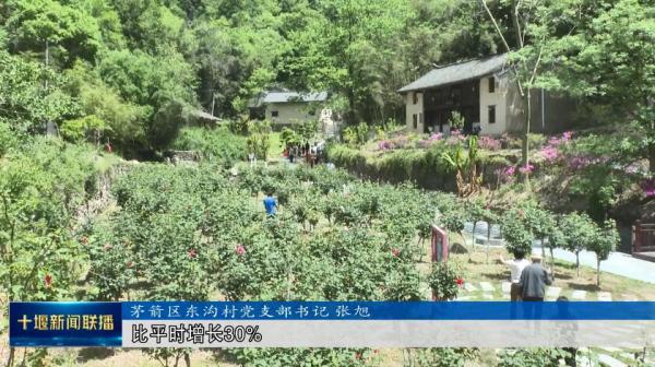 QQ截图20230429201204