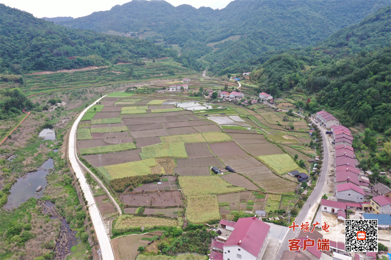 DJI_0175_副本