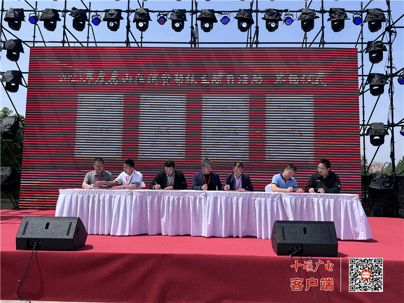 图片12
