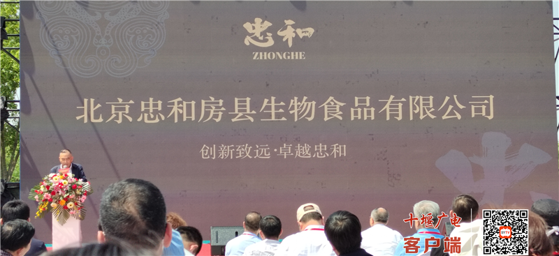 图片11