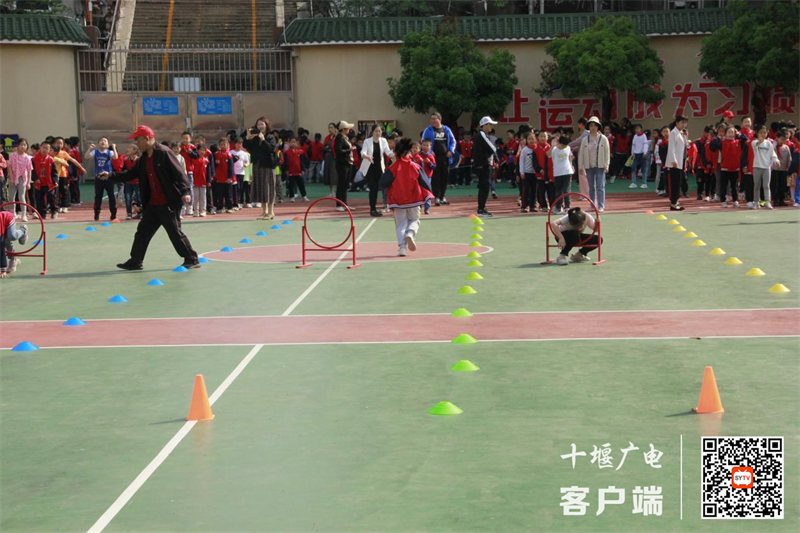 图片3