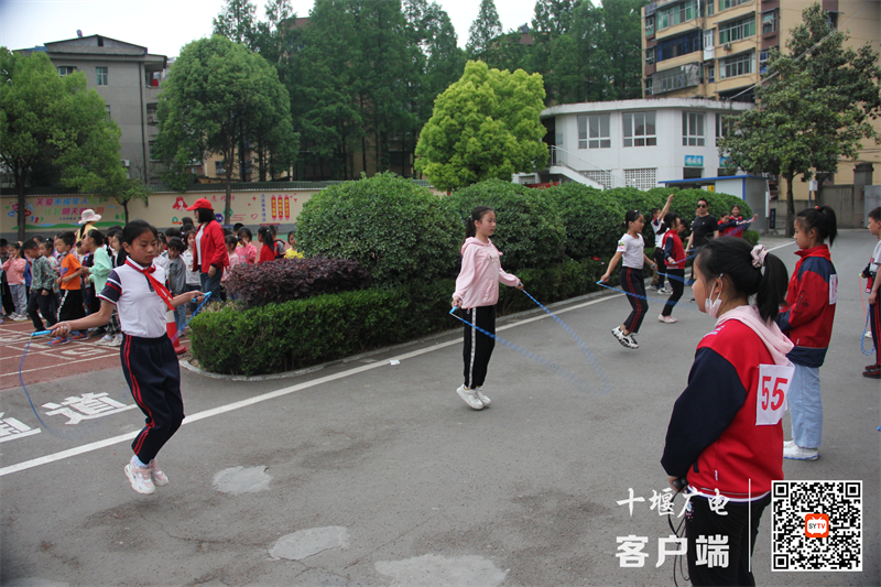 图片1