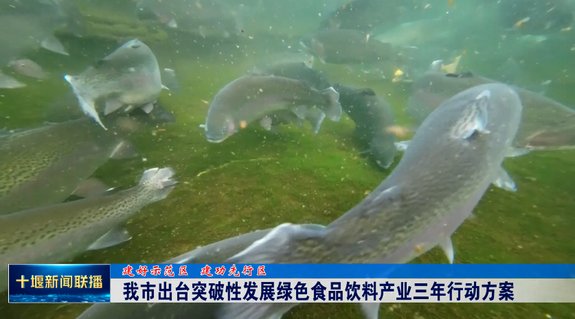 QQ图片20230511192346