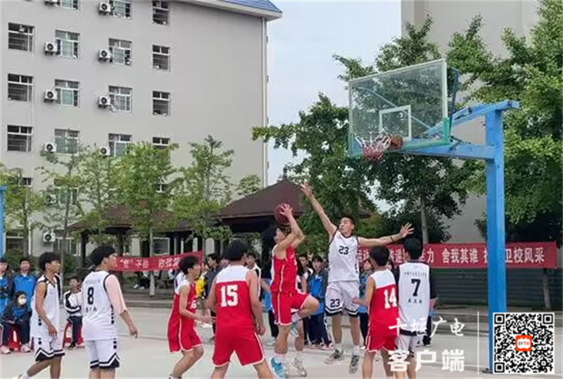 QQ图片20230512164140